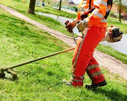 Avviso -  verbale di gara - lavori di manutenzione del verde pubblico 
